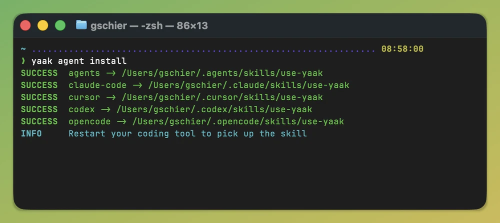Installing the skill from the terminal