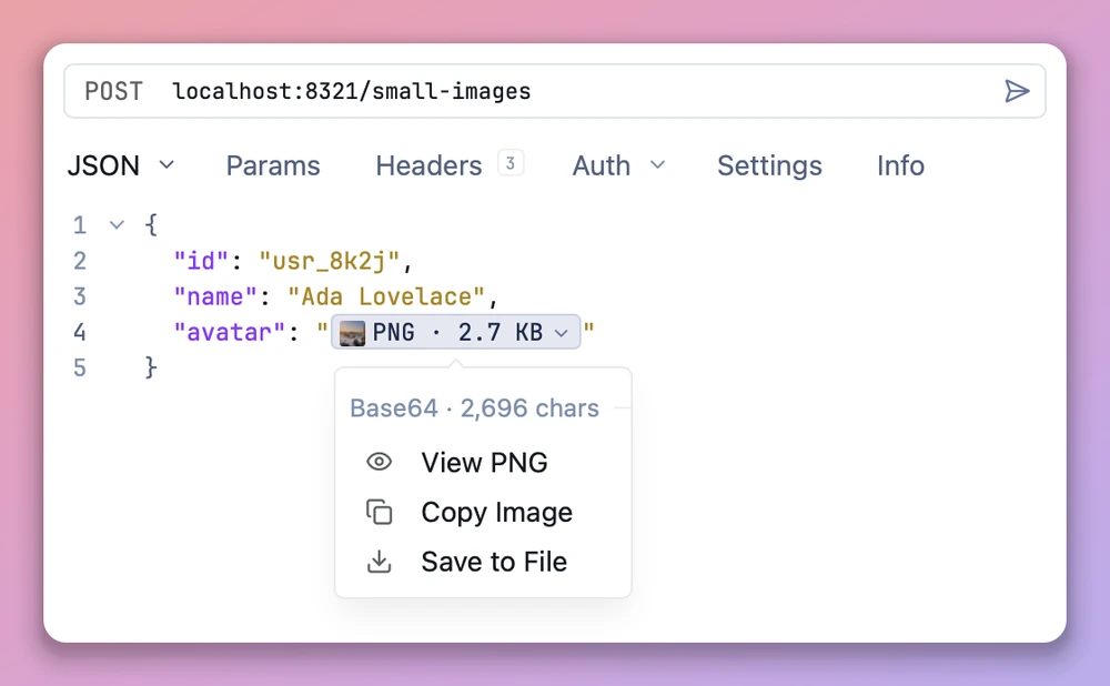 Pasted image collapsed in a request body